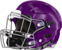 Miller Grove Wolverines Helmet