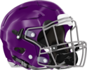 Miller Grove Wolverines Helmet