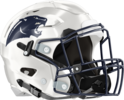 Portal Panthers Helmet