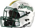 Savannah Country Day Hornets Helmet