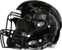 Temple Tigers Helmet