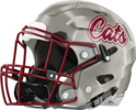Whitewater Wildcats Helmet