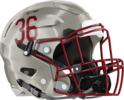 Whitewater Wildcats Helmet