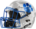 Banks County Leopards Helmet