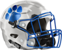 Banks County Leopards Helmet