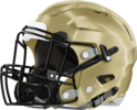 Forest Park Panthers Helmet