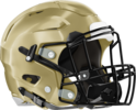 Forest Park Panthers Helmet