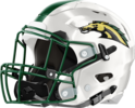 Ola Mustangs Helmet