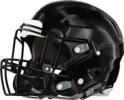 Therrell Panthers Helmet