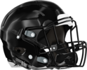 Therrell Panthers Helmet