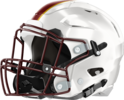 Walker Wolverines Helmet
