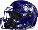 Woodstock Wolverines Helmet