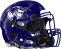 Woodstock Wolverines Helmet