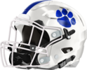 Ringgold Tigers Helmet