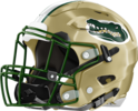 Bulloch Academy Gators Helmet