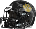 Flint River Academy Helmet