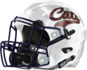 Cats Helmet 