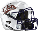Cats Helmet