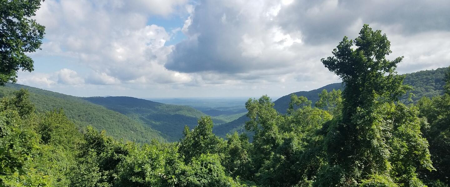 North Georgia mountains