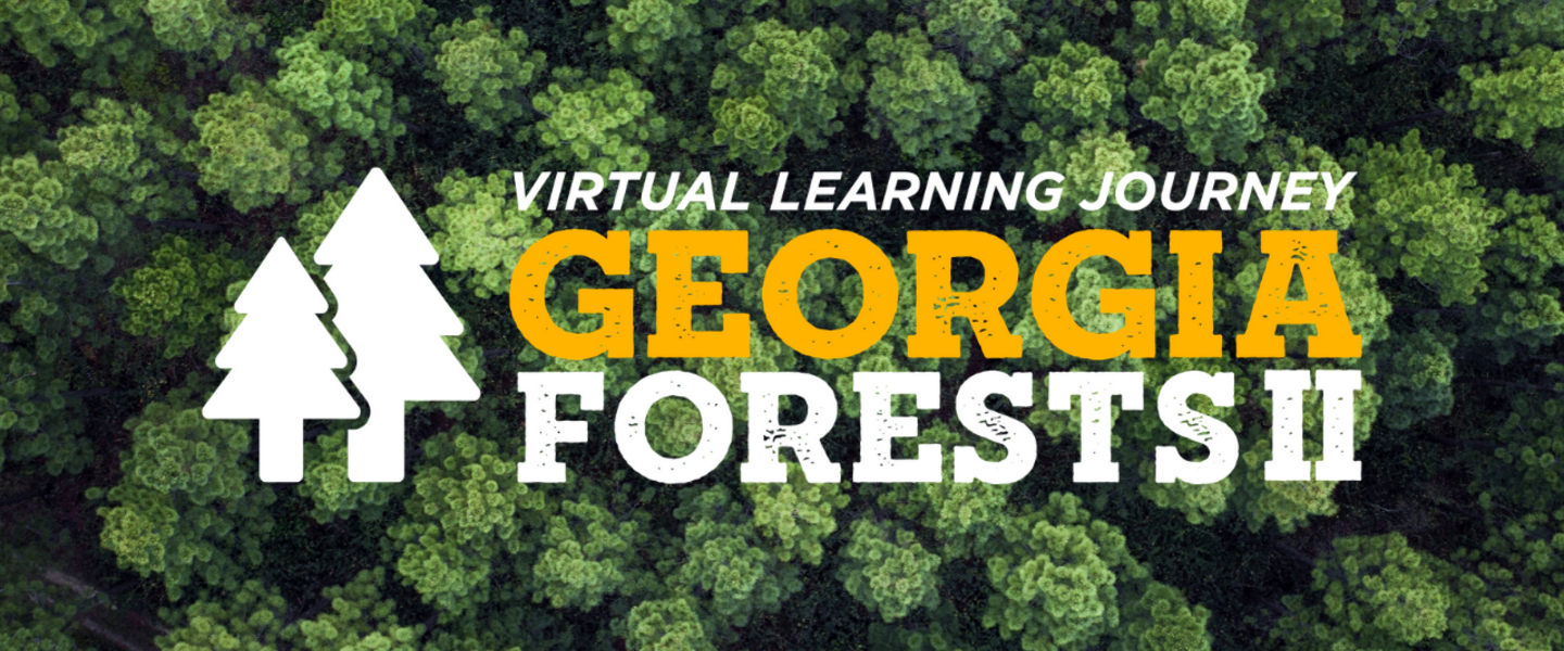 Georgia Forests II logo