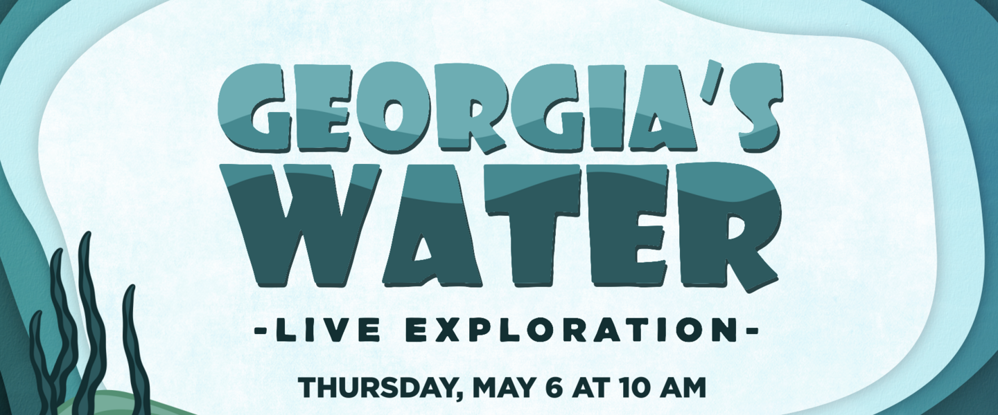 Georgia's Water logo