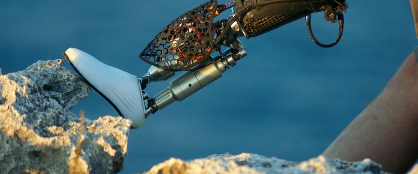 An artificial foot.