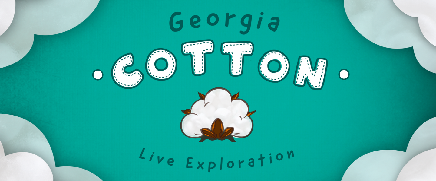 georgia cotton live