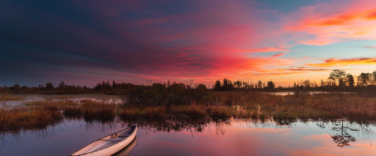 Okefenokee Swamp