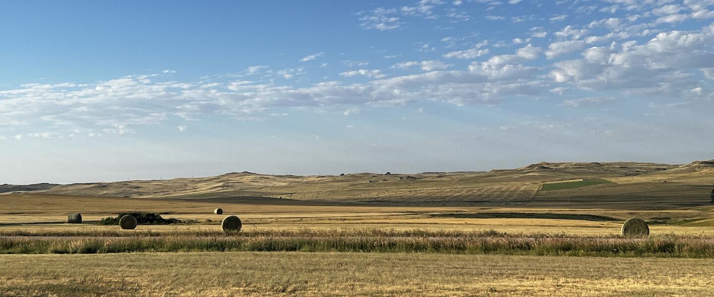 iconic america cowboy plains
