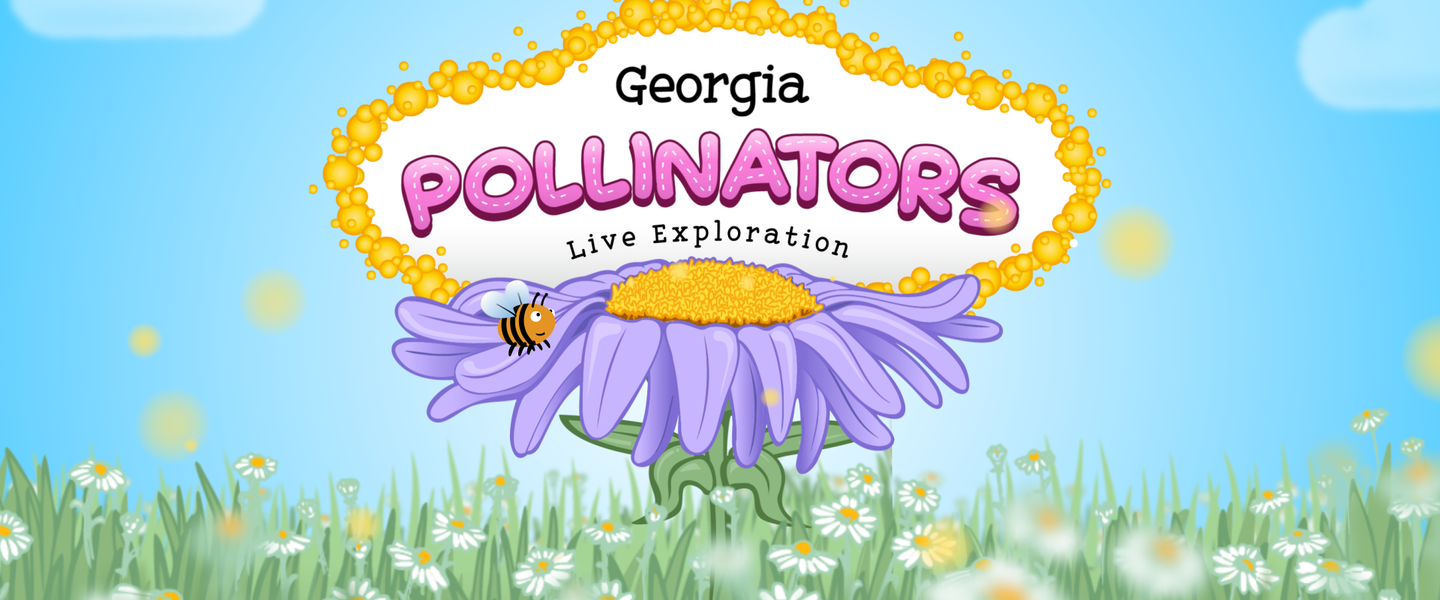 pollinators live