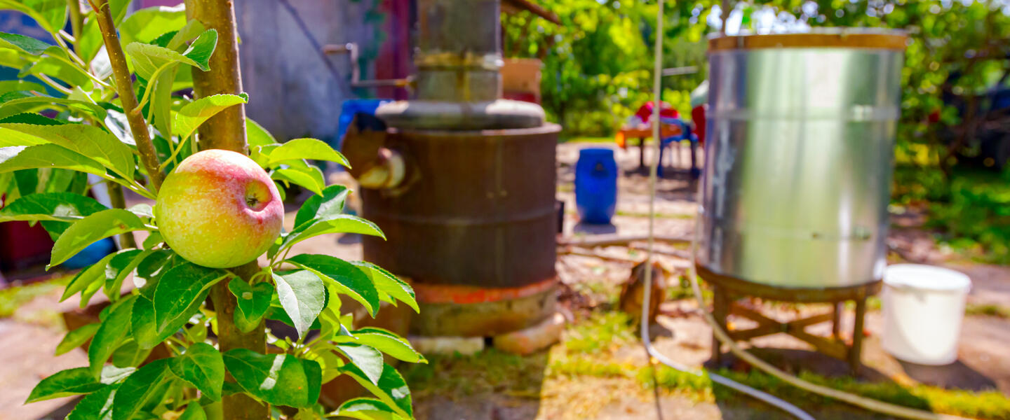 An Apple Brandy still