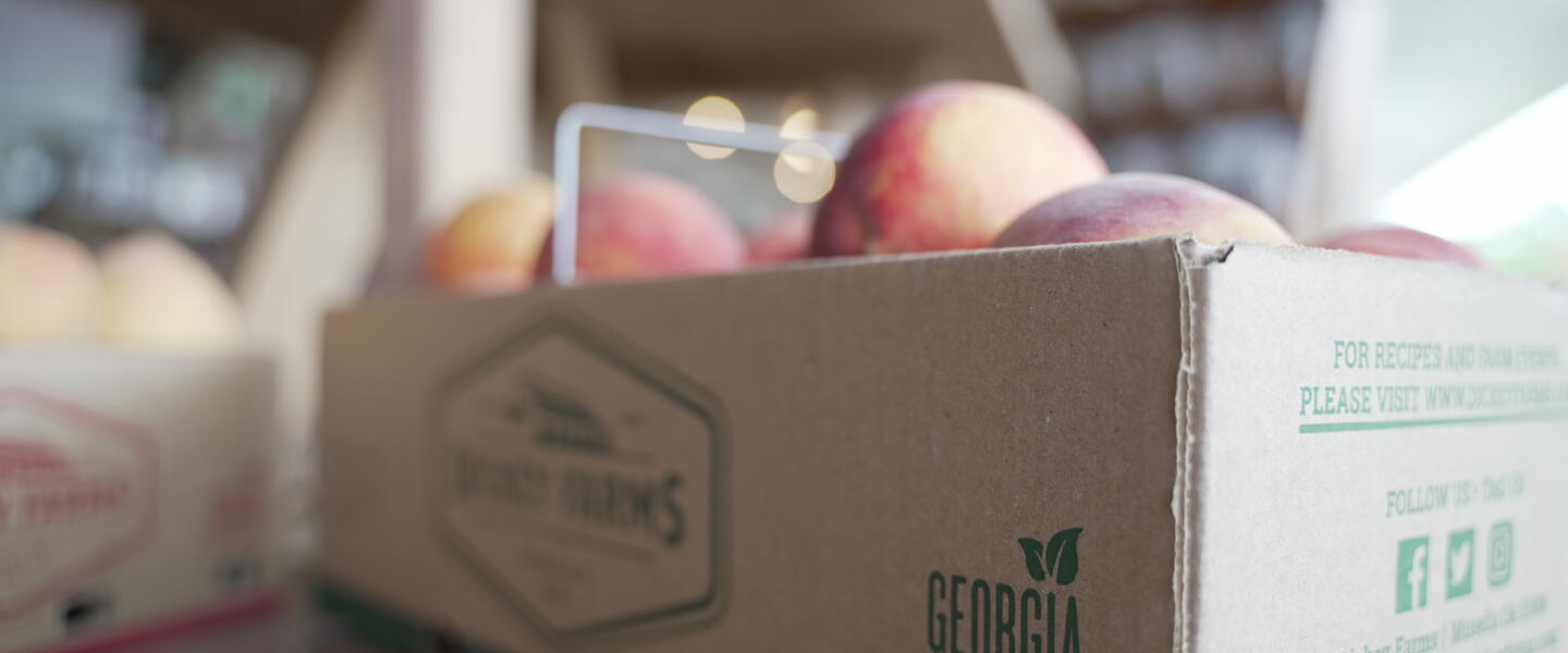 Peaches from Dickey Farms