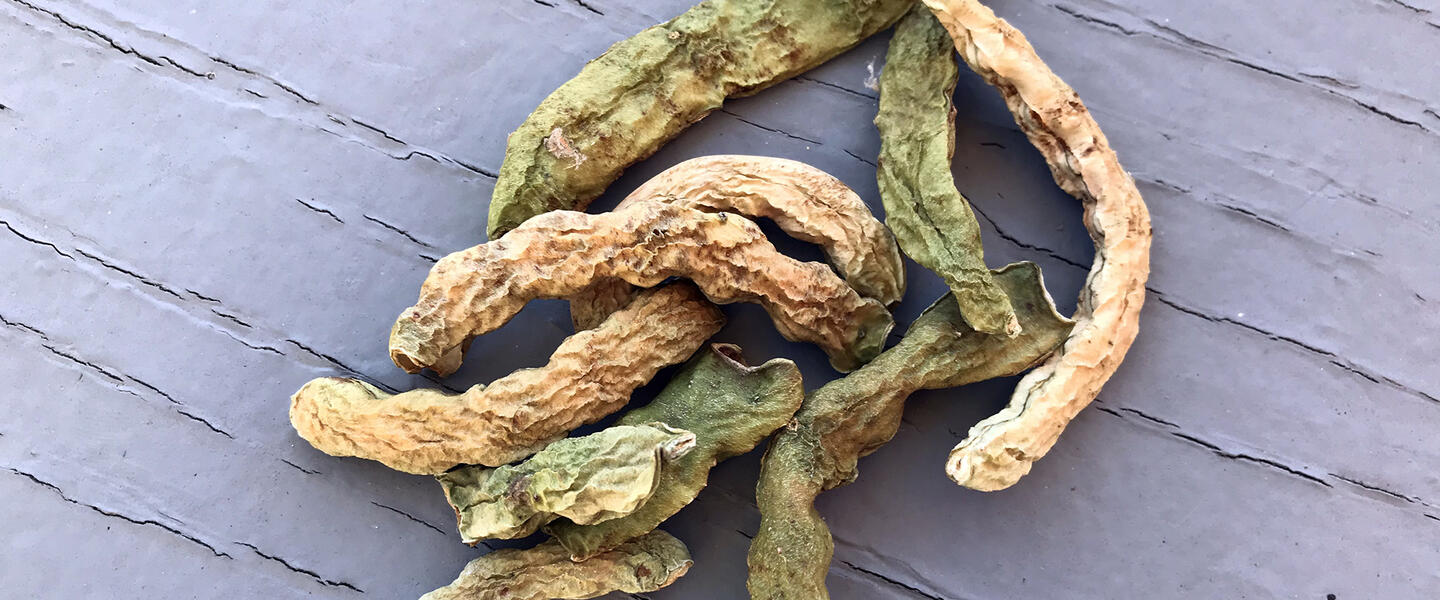 Dried green beans