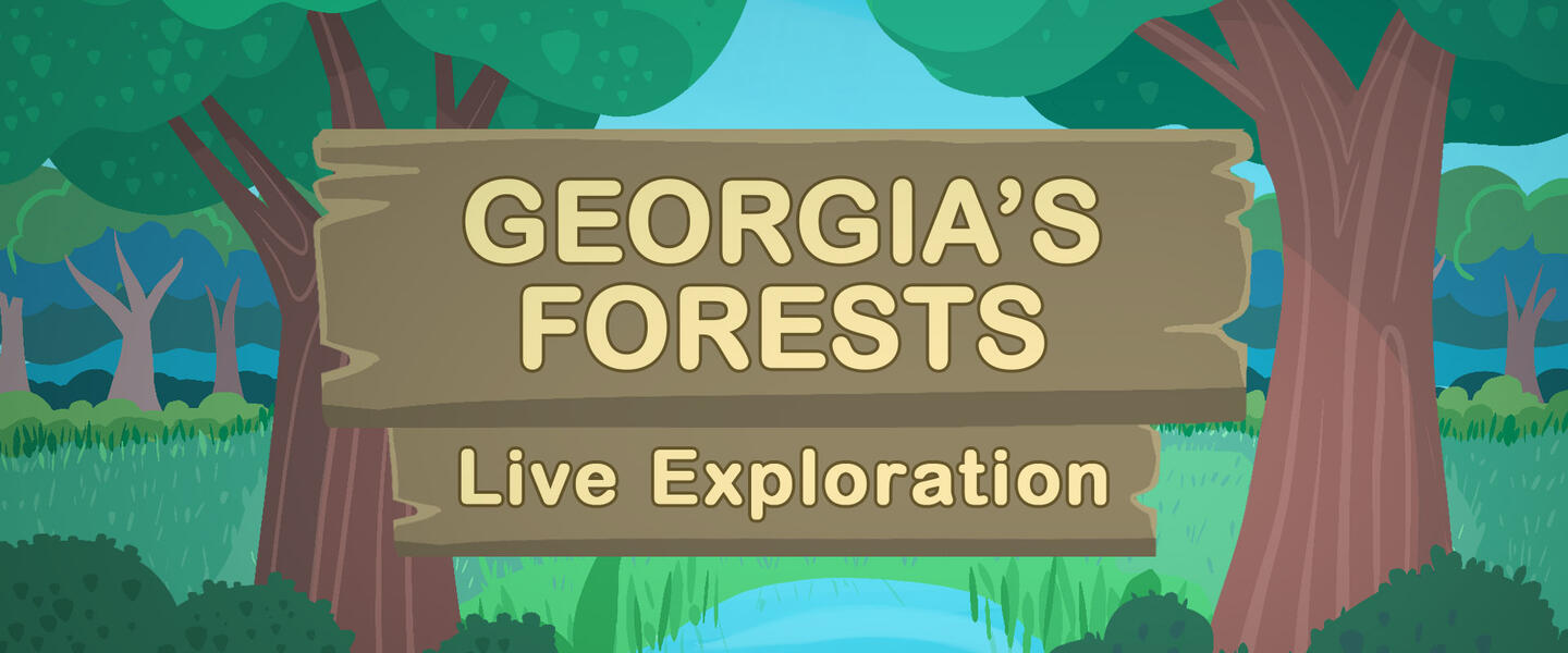 georgia's forests