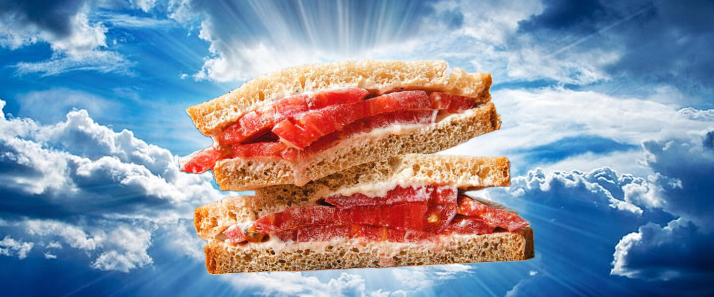Tomato sandwich
