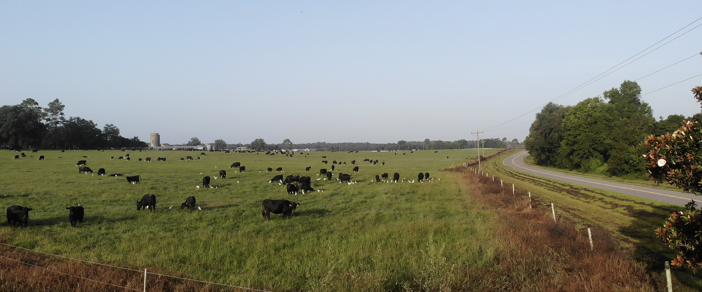 Grady Ranch Farms