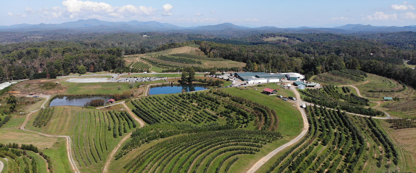 Ariel View of Mercier Orchards