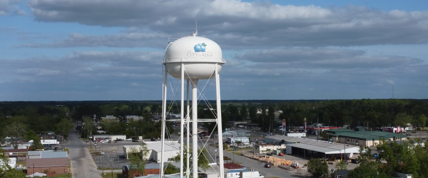 Blueberries painted on the water tower in Alma, Georgia