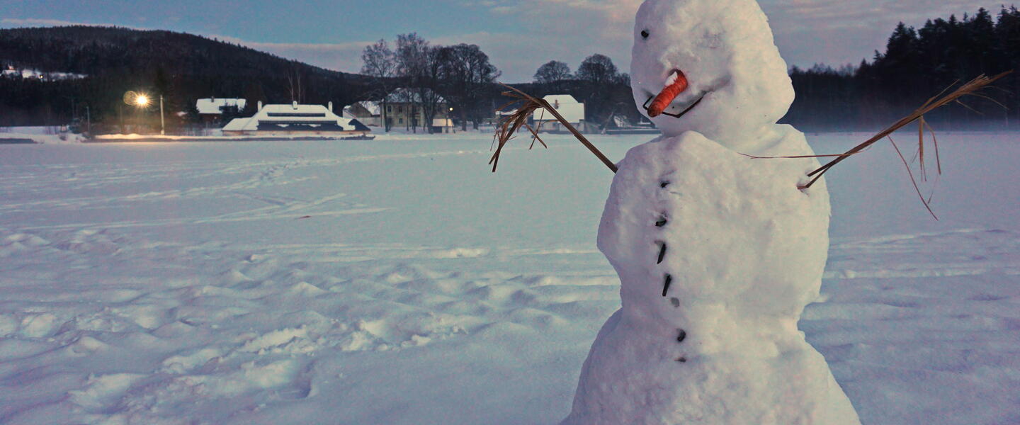 Snowman