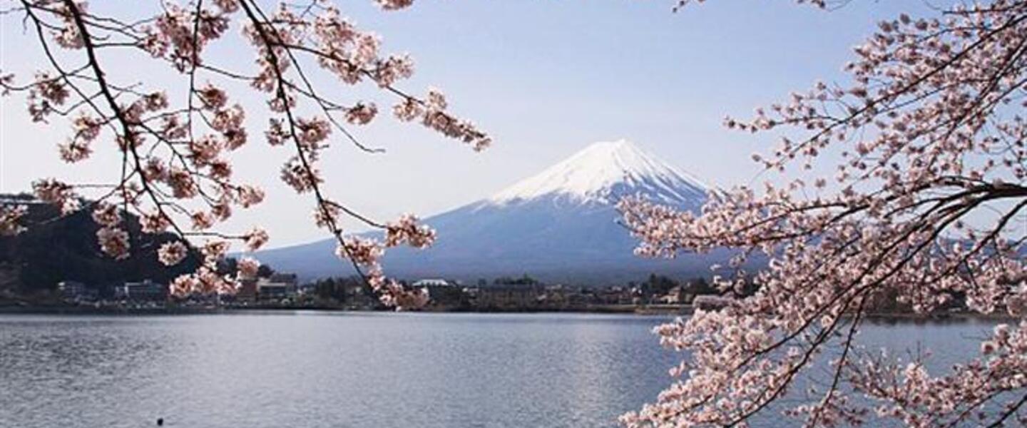 Learn Japanese... then go to Japan and show off... which culturally is somewhat inappropriate. Learn Japanese... then go to Japan and show off... which culturally is somewhat inappropriate.