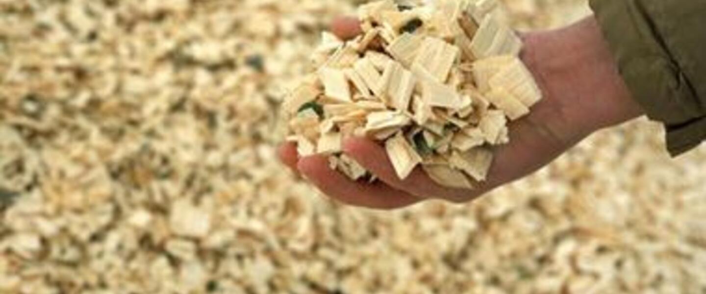 Georgia has become a national leader in the production of Biomass material for energy production Georgia has become a national leader in the production of Biomass material for energy production