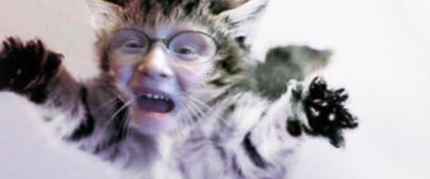 You can have your child... and turn it into a cat too. You can have your child... and turn it into a cat too.