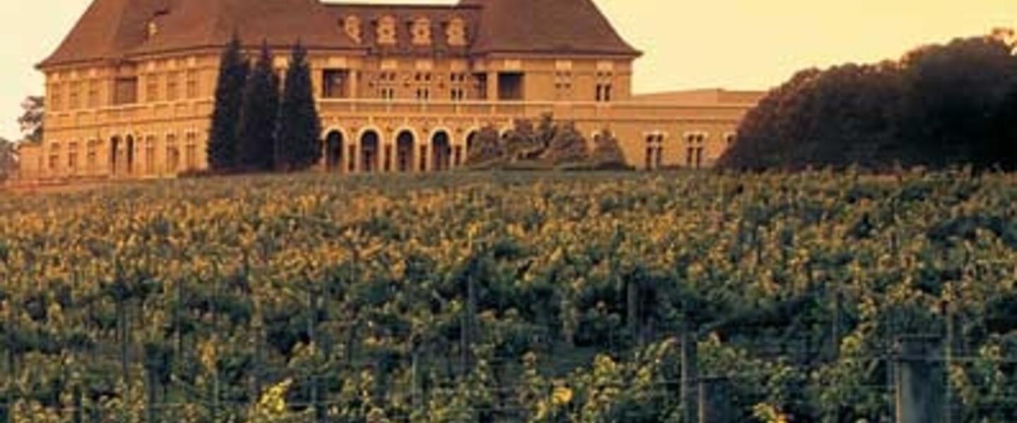 Chateau Elan is Thriving in North Georgia Chateau Elan is Thriving in North Georgia