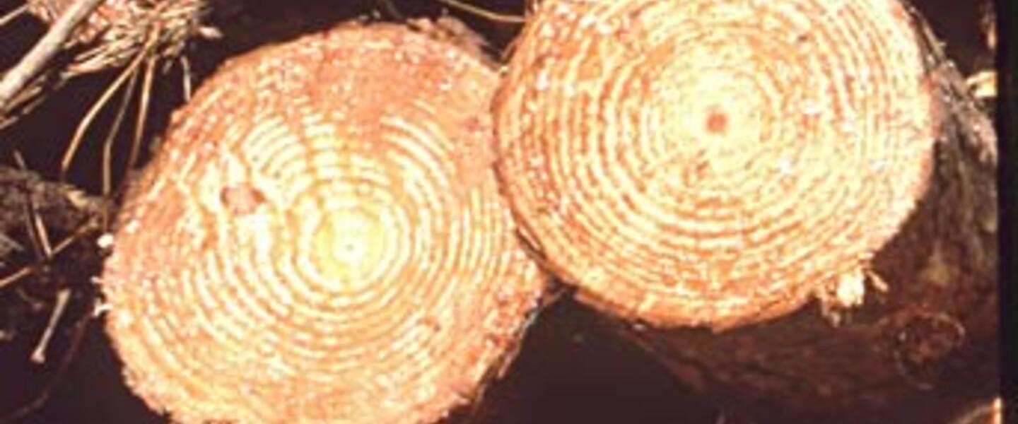 CatchMark Timber Trust is based out of Atlanta. CatchMark Timber Trust is based out of Atlanta.