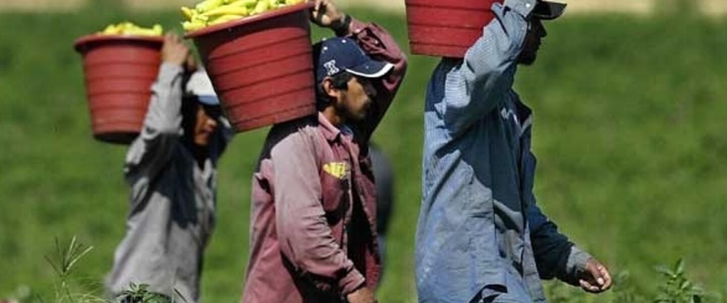 Farm Wages are Increasing Across the U.S.