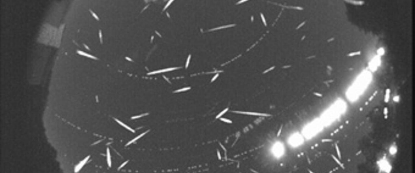 NASA image of the 2010 Geminids; over one hundred meteors in this snapshot. NASA image of the 2010 Geminids; over one hundred meteors in this snapshot.