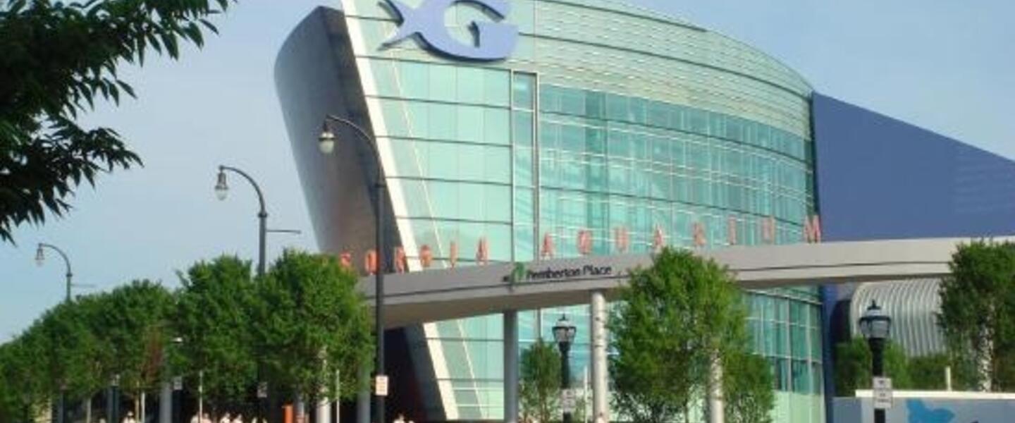 Spring Jobs - Georgia Aquarium