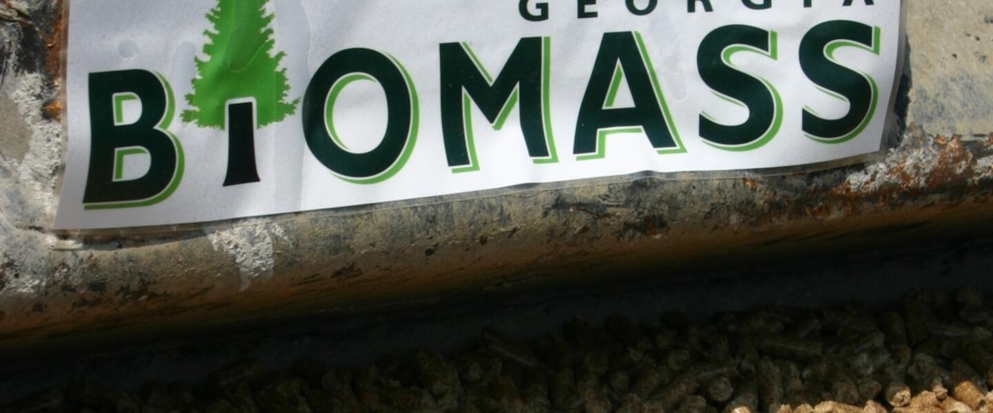 Georgia is a world leader in providing biomass energy products