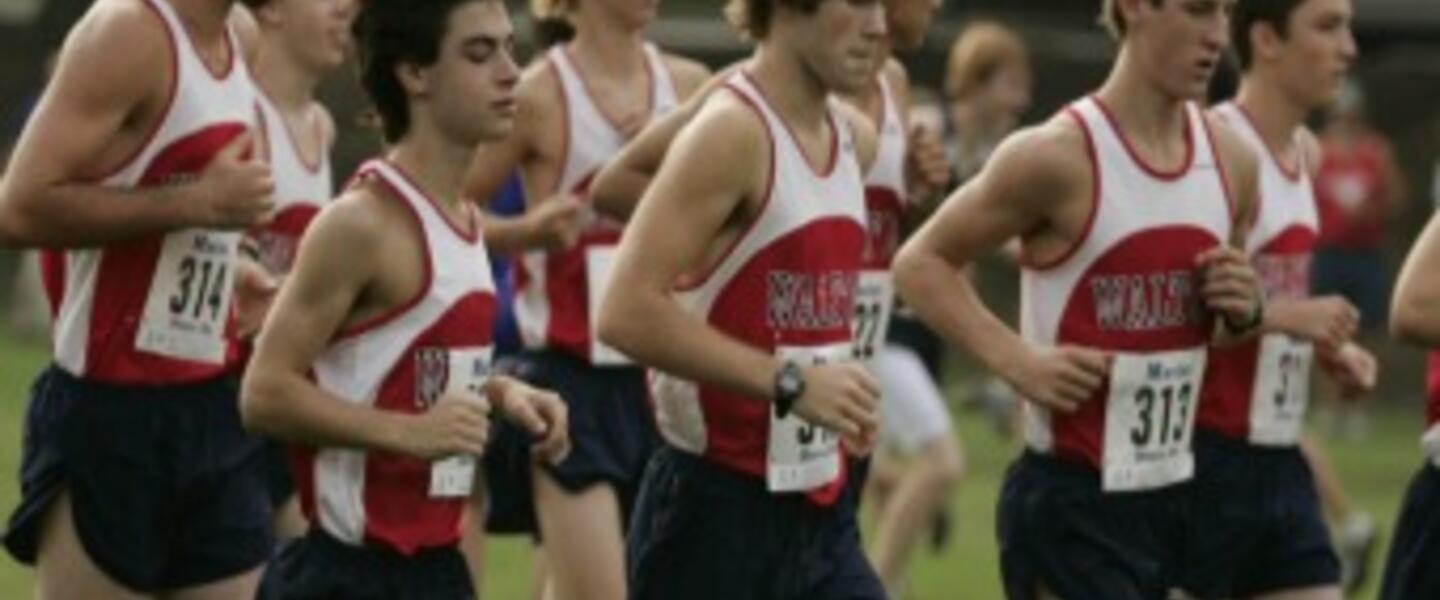 Courtesy of GHSA