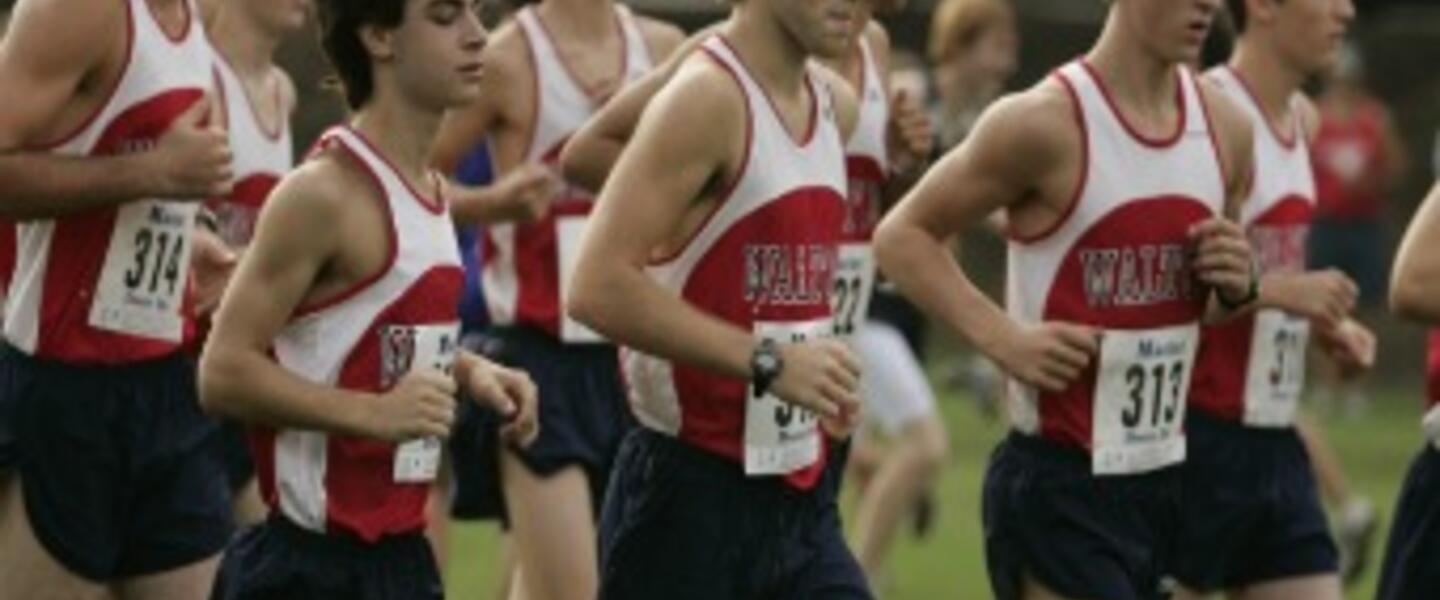 Courtesy of GHSA Courtesy of GHSA